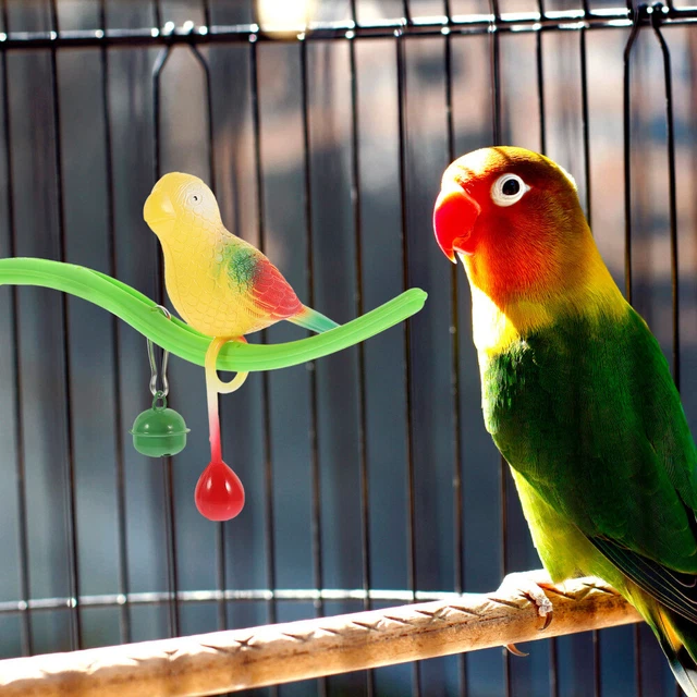 Perchoir De Table Pour Perroquet - Support Créatif Et Coloré Pour Petits Oiseaux Et Perroquets