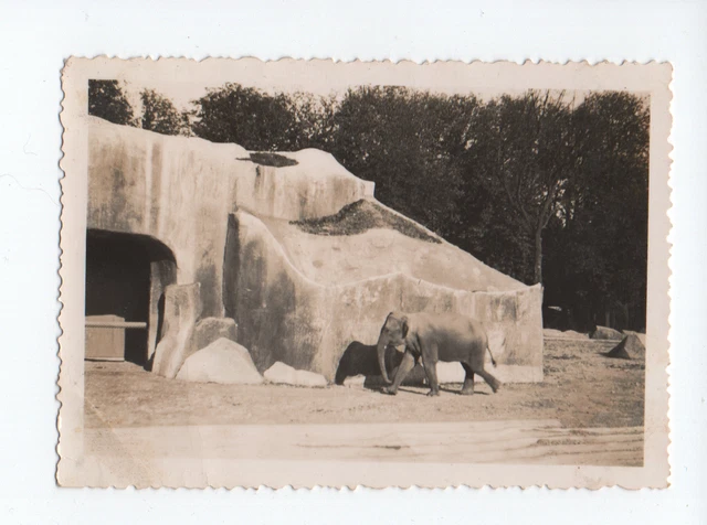 A415 Photo Originale vintage snapshot:Piscine et Casino de Vittel 88800