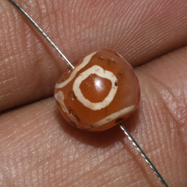 Ancient Tibetan Himalayan Etched Carnelian Longevity Dzi Bead with Multiple Eyes
