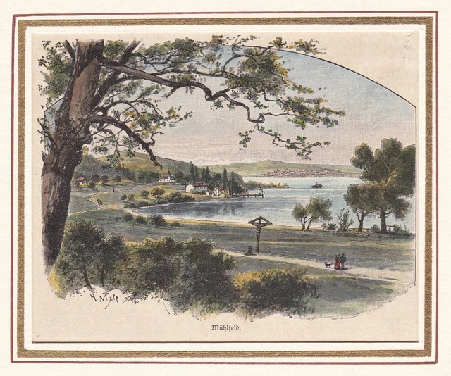 Mühlfeld Mellrichstadt LK Rhön-Grabfeld Unterfranken Bayern Holzstich 1880