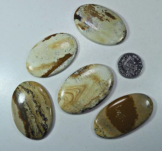 Lote de 5 piezas de piedras preciosas sueltas de cabujón ovalado de jaspe...