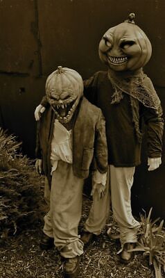 Vintage Halloween Pumpkin Head Costume Photo 1344 Oddleys Strange & Bizarre