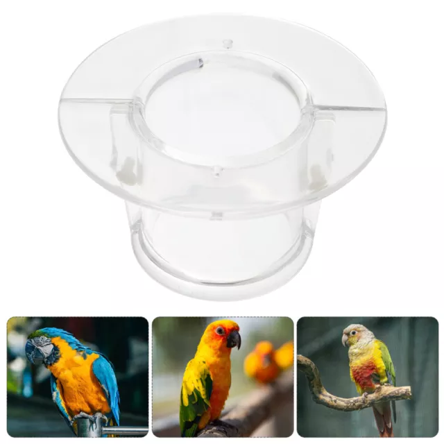 African Grey Parrot Plucking Solution - Get a Parrot Collar Today!