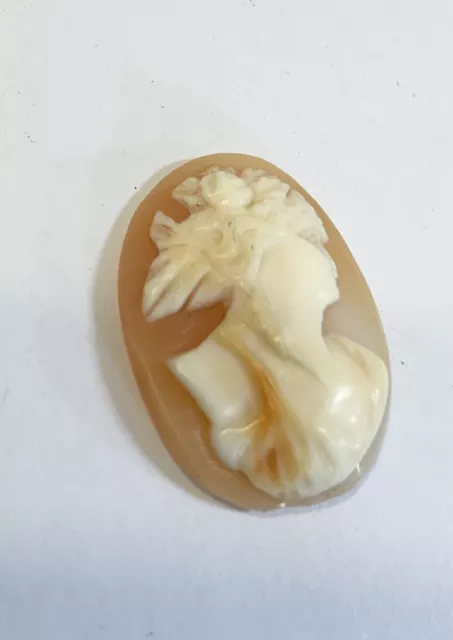 Victorian Lady Carved Shell Cameo 18mm X 24mm 3