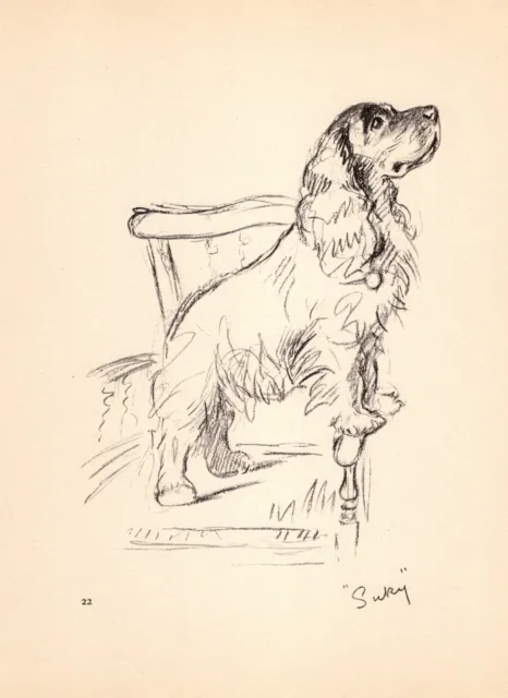 Vintage Lucy Dawson Cocker Spaniel Print Wall Art Decor 1940s Dog Art 5093e