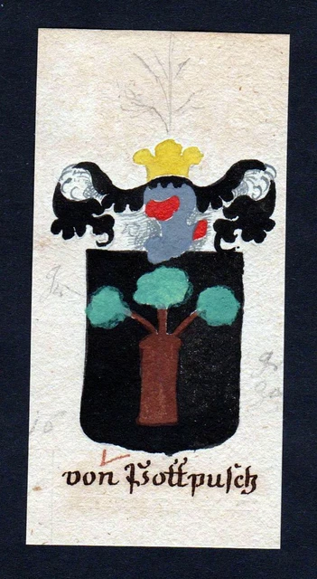 18. Siglo De Pottpusch Bohemia Manuskript Escudo Nobleza Abrigo De Arms Heraldry