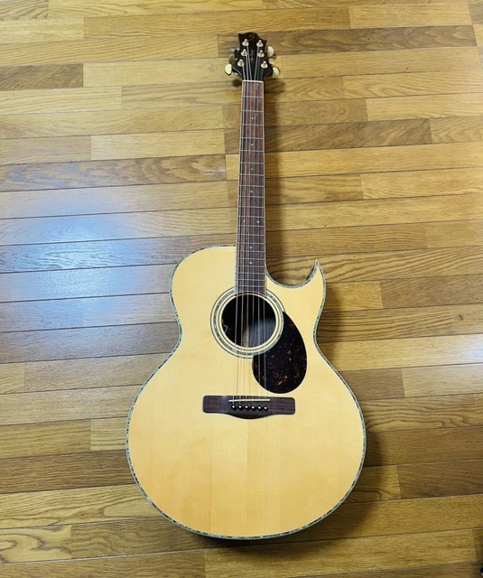 Electric Acoustic Guitar Greg Bennett Design Natural with Soft Case