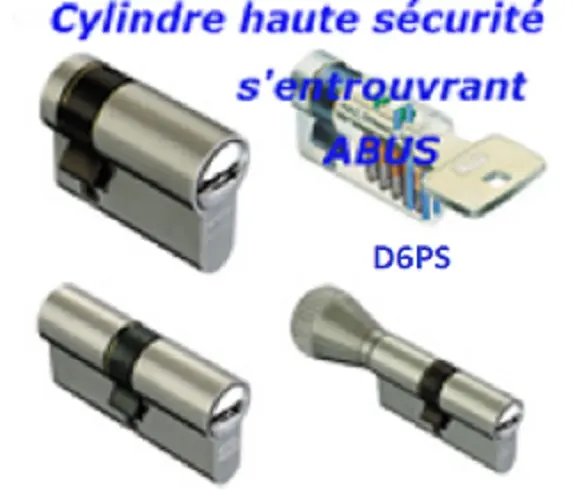 Cylindre Serrure Haute Securite S Entrouvrant Abus D6Ps Dimensions Au Choix
