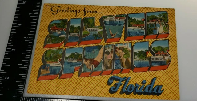 Vtg Linen Postcard Large Letter Greetings From Silver Springs Florida FL Unused