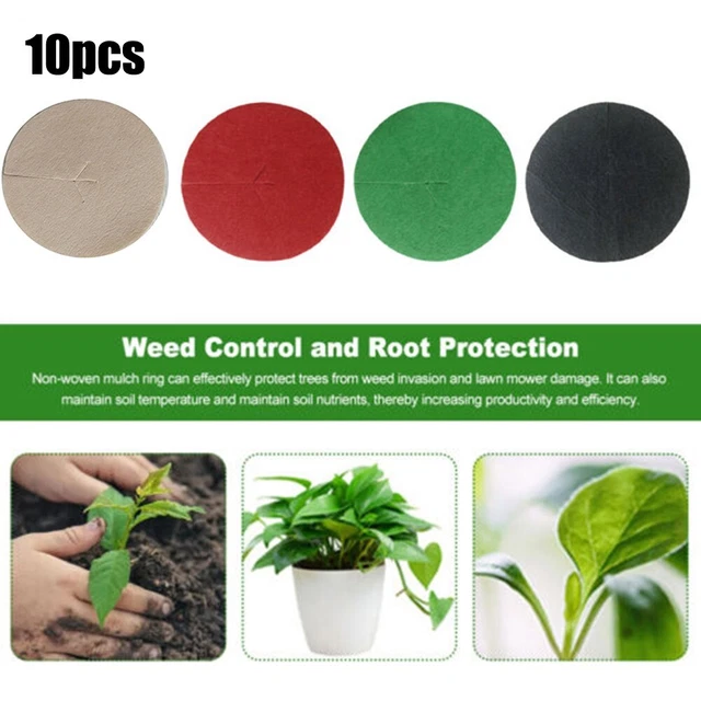 Anneaux Paillis Non Tissés Pour Arbres - Lot De 10 - Diamètre 32cm - Anti-mauvaises Herbes, Rétention Eau - Jardinage écologique