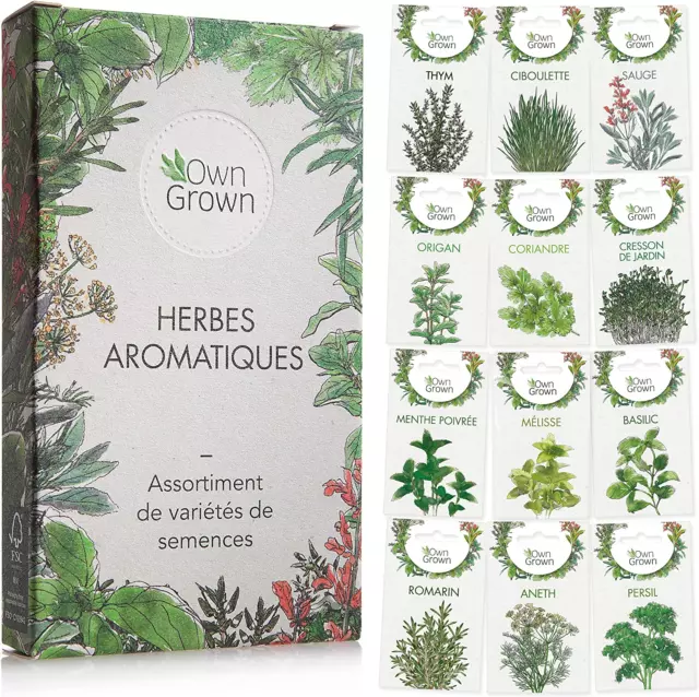 Kit De Graines D‘Herbes Aromatiques Prêt À Pousser Owngrown, 12 Épices Et Aromat