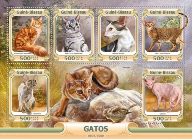 Guinea Bissau 2016 - Domestic Cats - Sheetlet - MNH