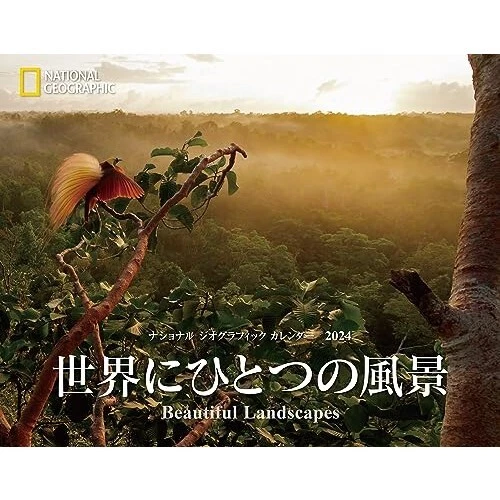 National Geographic Tours Japan 2025 Alecia Imojean