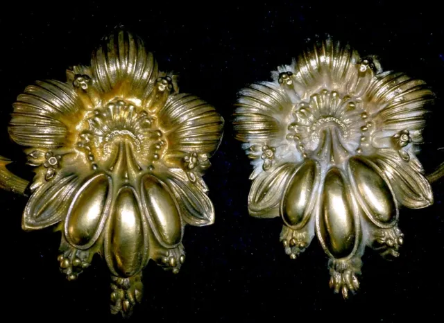 Pair of Stunning French Antique Gilded Bronze/ Brass Tiebacks Hooks Flowers