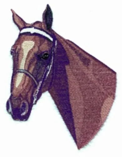 Embroidered Sweatshirt - American Saddlebred Horse BT2475 Sizes S - XXL
