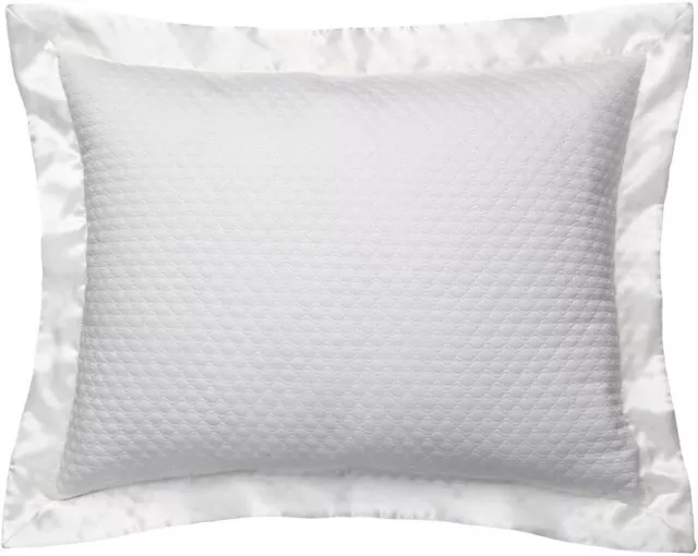 HUGO BOSS Luxury Ovals Pearl White Cotton Silk Border STANDARD Pillow Sham G8811