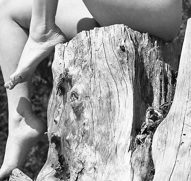 Nu artistique Brune aux seins nus Photographie originale anonyme ca. 1960 #231