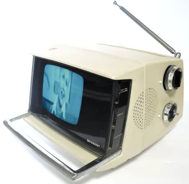 Working! Vintage Sharp Model 3S-W111 Portable B&W Space Age Solid State Tv