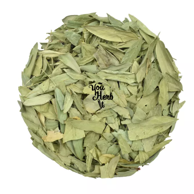 Tisane Feuilles de Séné (Sana Makki) 25g-200g - Cassia Senna