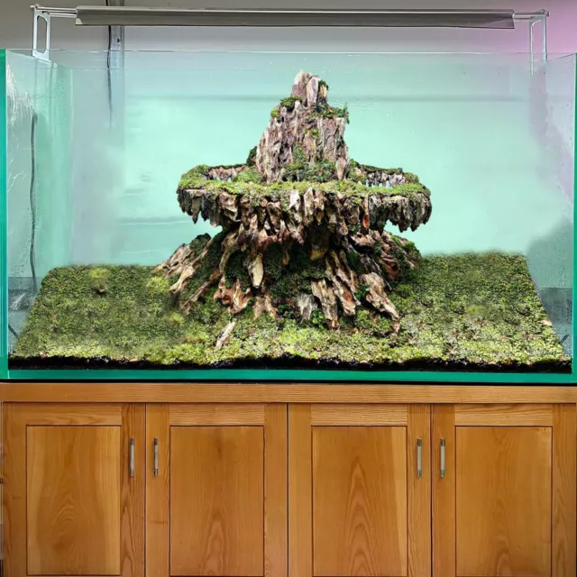 aquascape rocks Stone aquarium decor tropical fish tank plants aquascaping tools