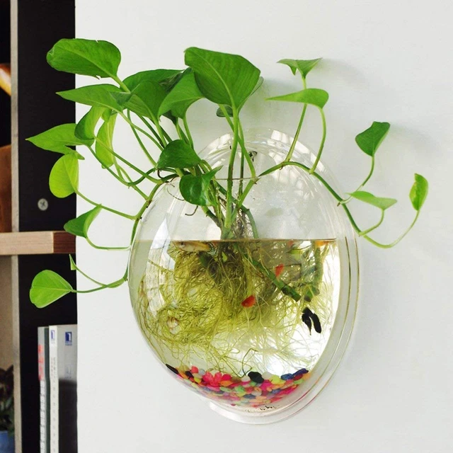 Wall Hanging Fish Tank, Acrylic round Wall Mounted Hanging Fish Bowl Aquarium Ta 2