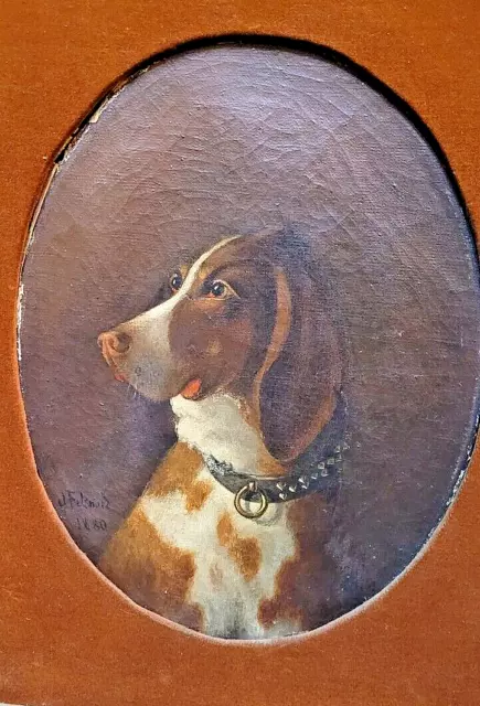 coppia dipinti antichi 1880 quadro olio su tela ovale ritratto CANE firmati