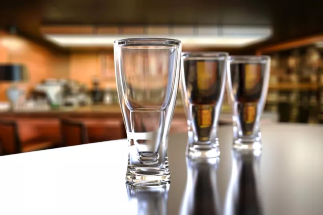 28 oz Clear Acrylic Plastic Double Wall Upside Down Beer Pilsner Glass Set of 2