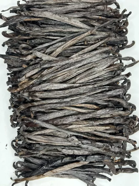 VANILLA BEANS TAHITIAN GRADE B , GREAT FOR EXTRACT,  20 BEANS, 15+cm