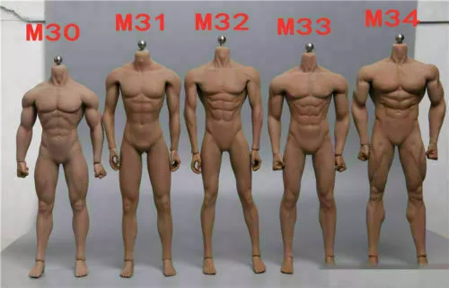 TBLEAGUE PHICEN1/6 MALE Body Figure Seamless Muscular Steel M30 M31 M32 M33  M34 £80.39 - PicClick UK