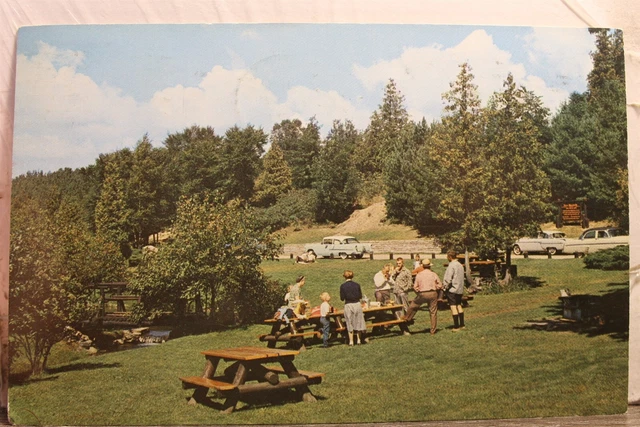 Michigan MI Roadside Park Postcard Old Vintage Card View Standard Souvenir Post
