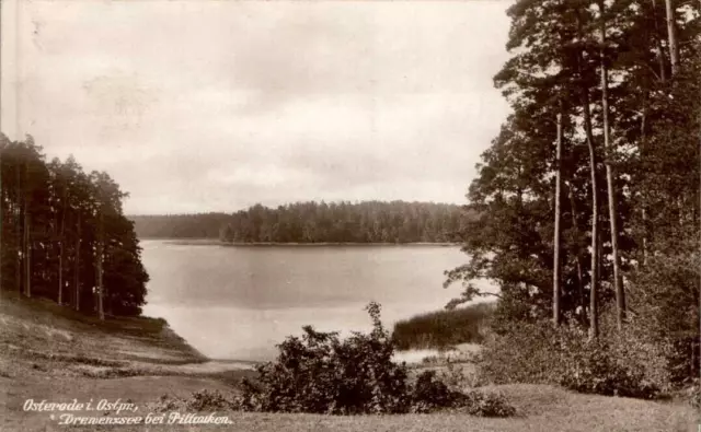 AK GRUSS AUS OSTERODE BZ ALLENSTEIN OSTPREUßEN DREWENZSEE UM 1920