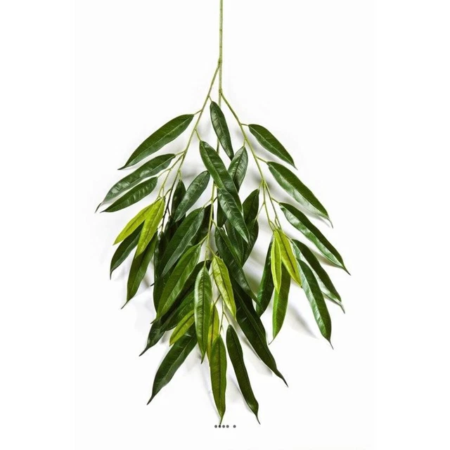 Branche de longifolia royal artificielle L 85 cm Vert