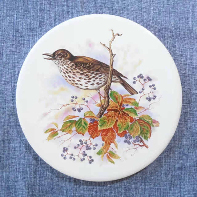 H & R Johnson Round Tile Trivet from ENGLAND Brown Songbird Autumn Fall Colors