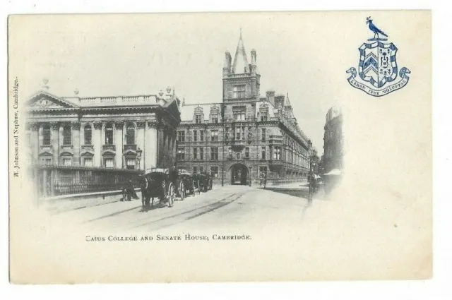 Cambridge. Caius College And Senate House. Undivided Back Postcard.