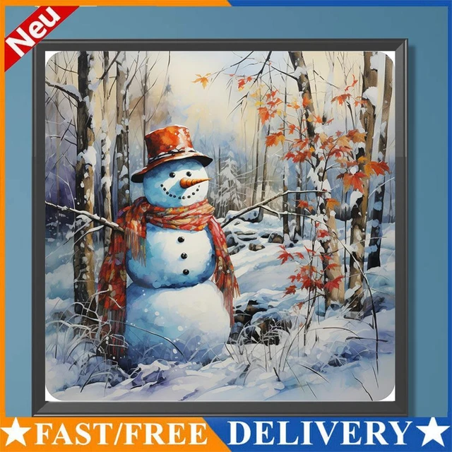 Paint By Numbers Kit DIY Oil Art Snowy Land Picture Home Wall Decor 40x40cm