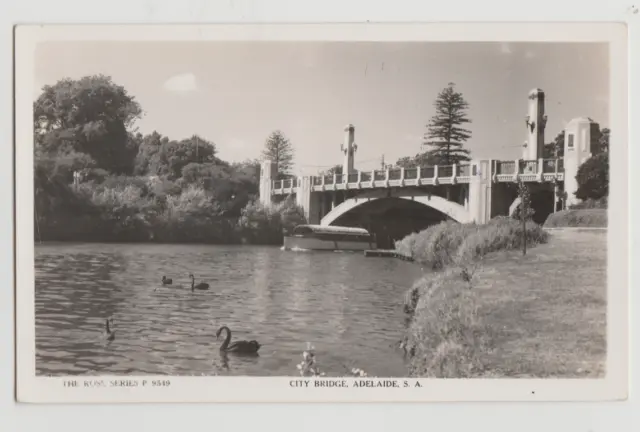 SOUTH AUSTRALIA SA Swans City Bridge ADELAIDE Rose P9549 RPPC postcard c1950s