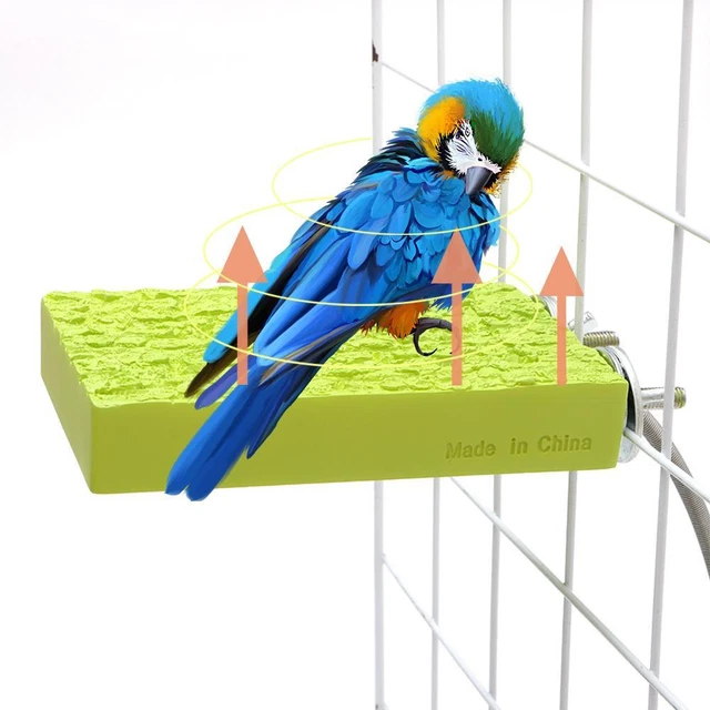Décor De Piscine Perroquet Gonflable Géant – 2 Pièces – Décoration De Fête Tropicale, Jouet De Plage, Accessoire Pour Grands Animaux – Parties De Piscine En Extérieur