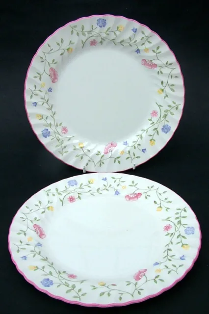 TWO Johnson Brothers Summer Chintz Pattern Lg Dinner Plates 25cmw in Used Cond