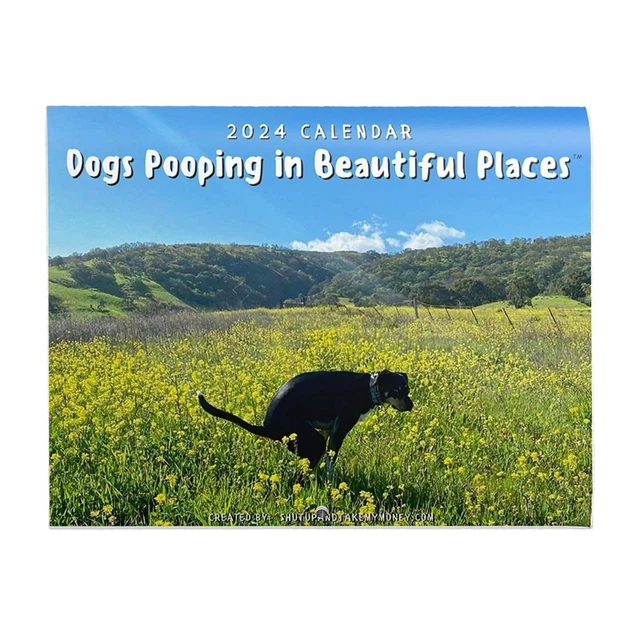 DOG POOPING CALENDAR 2024, 12 X 12 Inch, Funny Gift, White Elephant