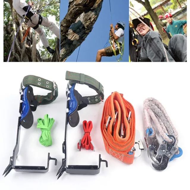 Tree Climbing Spikes Set, Upgrade Cowhide Tree Climbing Gear with  Adjustable Climbing Belt Rope and Hand Ascender, Climbing Tools Kit for  Climbing