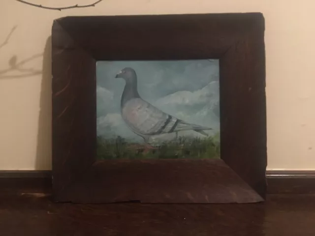 Vintage Pigeon Original Oil Paintings Naive Folk Art 1950s/60s? Framed