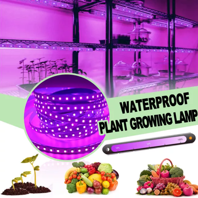 12V 5m LED Grow Lights Full Spectrum for Indoor Veg Flower Bloom Lamp Plant