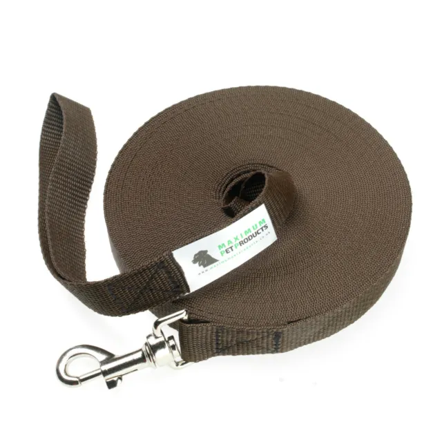 Dog Lead For Training, Tracking & Obedience Recall 50ft 15 Meter Brown