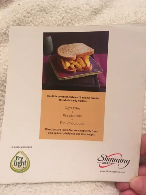 Slimming World Autumn Flavours 25 Recipes BOOKLET Comfort Food used GOOD Small 2