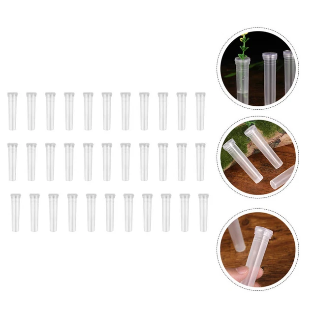 100 Pcs Petite Pipe De Culture Tube De Fleur Transparent Plantes Roses Fleurs