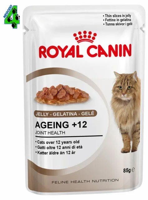 ROYAL CANIN 12 bustine AGEING + 12 85 gr in jelly gelatina alimento UMIDO GATTO
