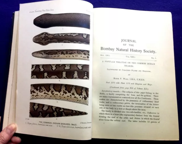 Journal of BOMBAY NATURAL HISTORY Soc.  Vol XXI 5 Vols Bound 1911, 15 colored pl