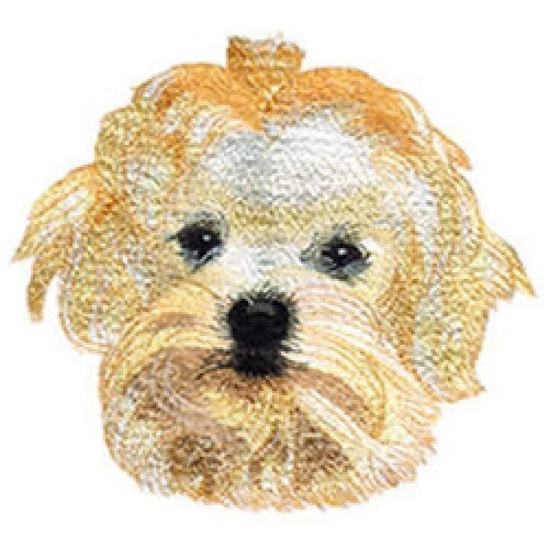 Embroidered Ladies Jacket - Bichon Frise DTL003 Sizes S - XXL