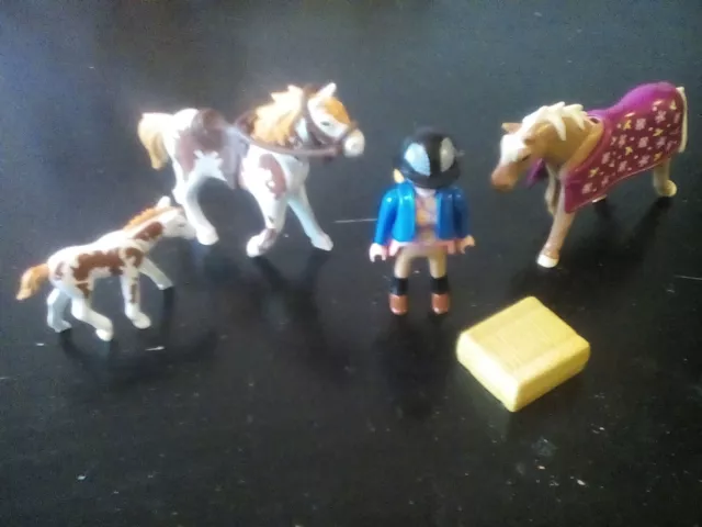 Playmobil Pferde mit Fohlen und Reiterin, Pferdekoppel