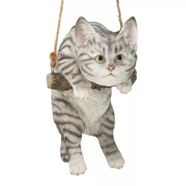 Grey Tabby Cat Hanging